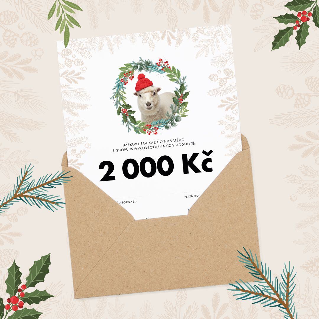 Vánoční dárkový poukaz v 2000 Kč
