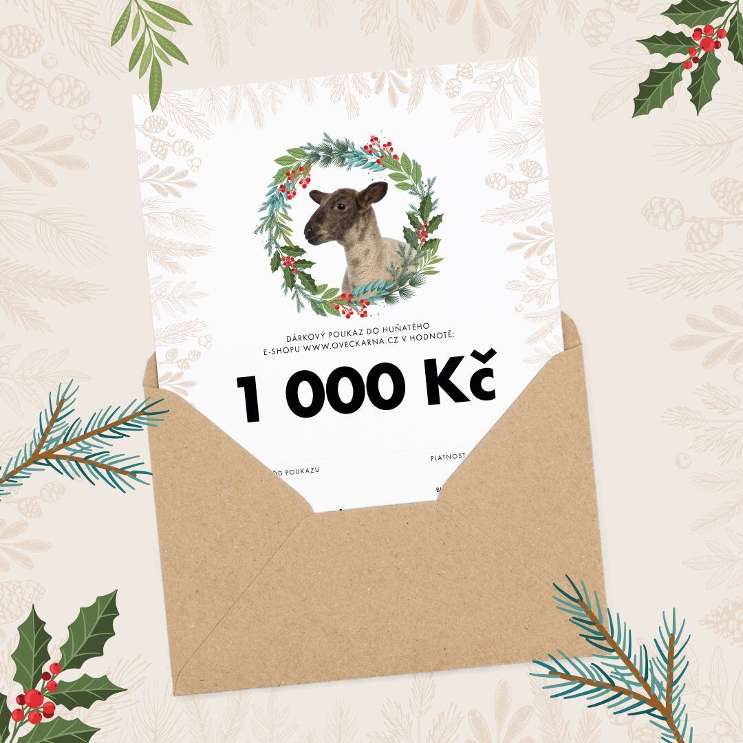 Vánoční dárkový poukaz 1000 Kč