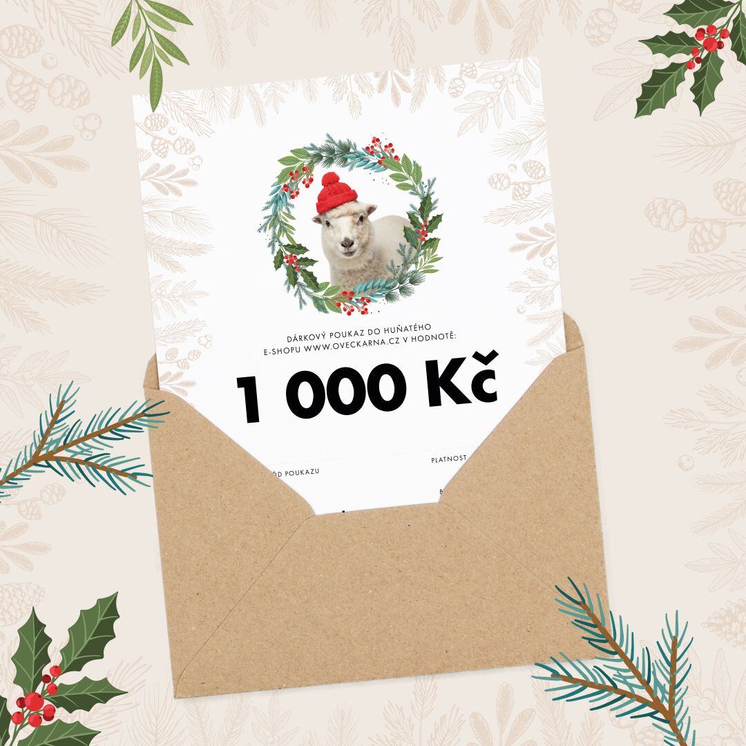 Vánoční dárkový poukaz 1000 Kč