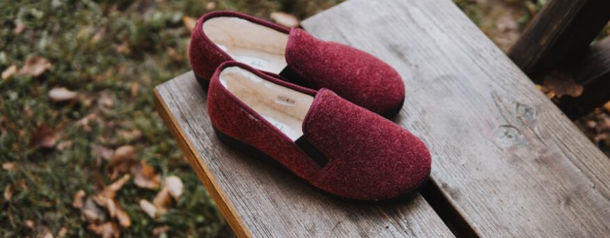 House slippers Felt