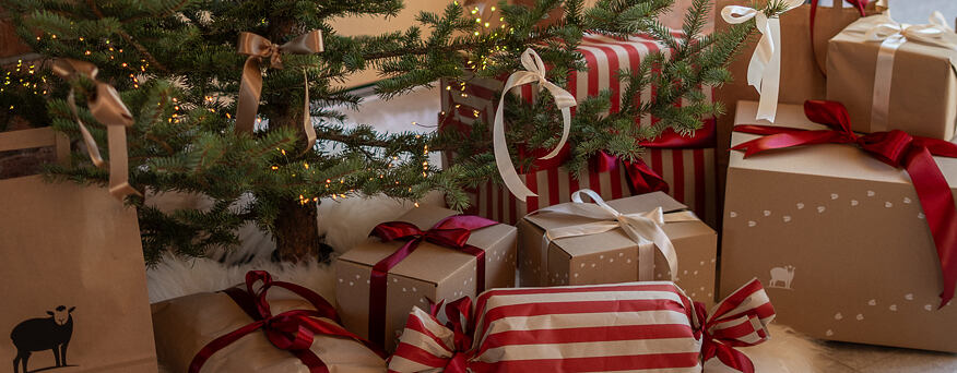 Geschenken tot € 100