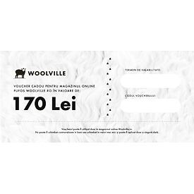 Voucher cadou 170 Lei