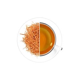 caj_vilcacora_kocici_drap_oveckarna_01