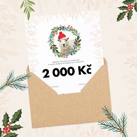Kerstcadeaubon 80€