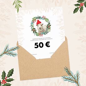Vianočný darčekový poukaz 50 €