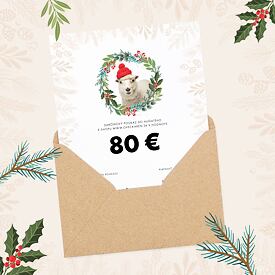 Vianočný darčekový poukaz 80 €