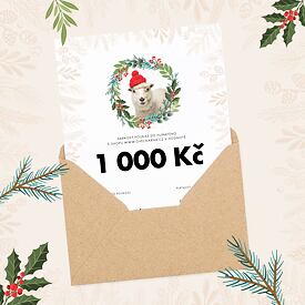 Kerstcadeaubon 50€