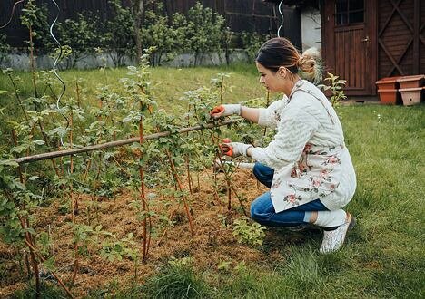 13 Tipps für angenehmeren Frühlingsgartenbau 