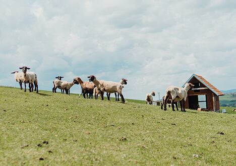 Příběh vlny 1: Kde to všechno začíná