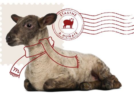 Napište Ježíškovi a vyhrajte poukazy v celkové hodnotě 30 000 Kč