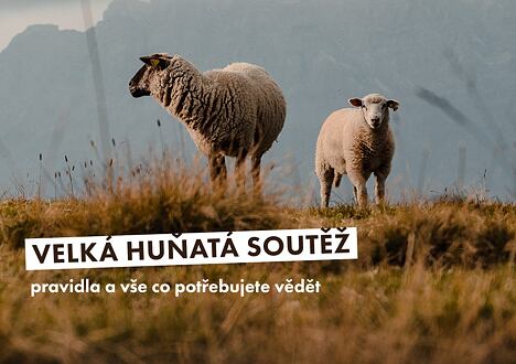 Velká huňatá soutěž - pravidla a vše co potřebujete vědět