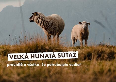 Veľká huňatá súťaž – pravidlá a všetko, čo potrebujete vedieť