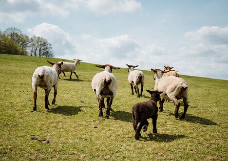 5 dolog, melyek segítségével a hétköznapokon is segíthetünk a természetnek és pénzt spórolhatunk meg