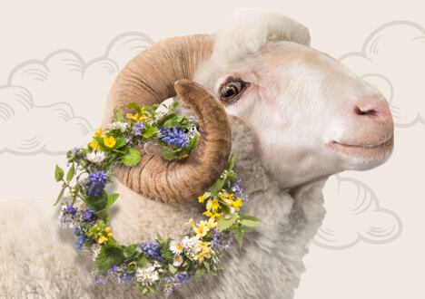 Velikonoční soutěž