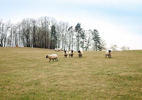 Cesta vlny napříč historií