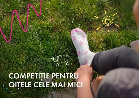 Concurs pentru oițele cele mai mici