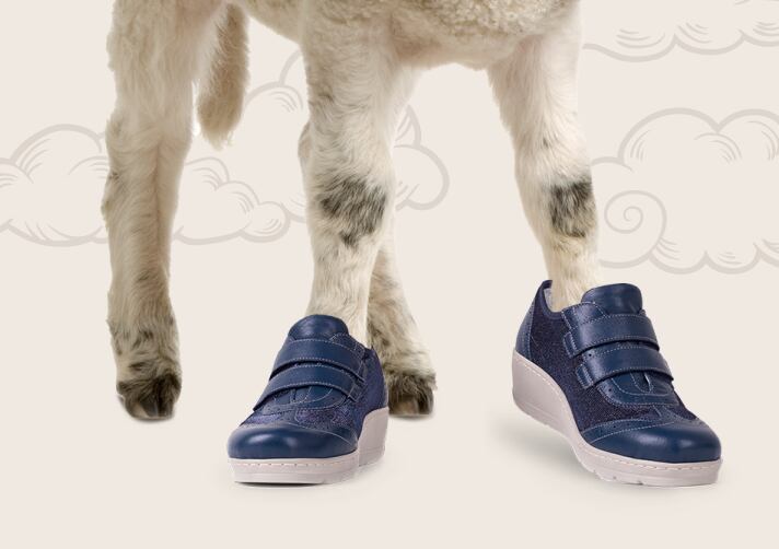 Spring news for the beeest comfort of your hooves