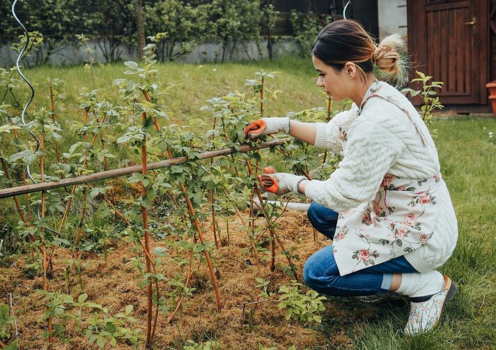 13 Tipps für angenehmeren Frühlingsgartenbau 