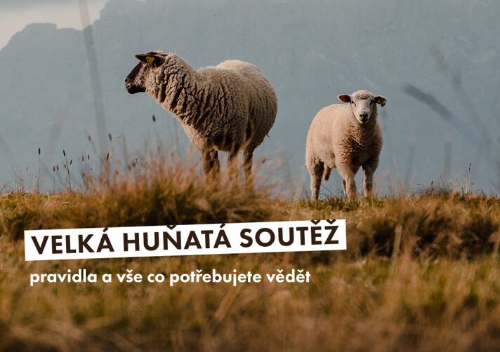 Velká huňatá soutěž - pravidla a vše co potřebujete vědět