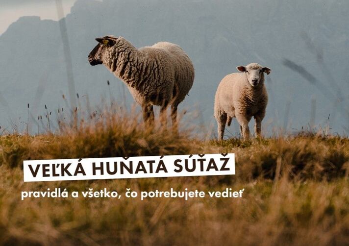 Veľká huňatá súťaž – pravidlá a všetko, čo potrebujete vedieť