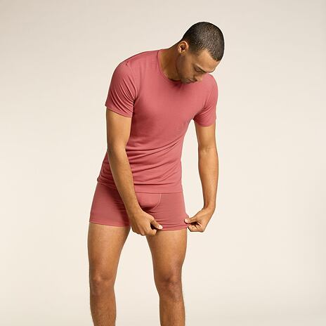 Pánské boxerky Merino 150 Anatomica Boxers Icebreaker Plume