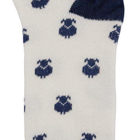 Chaussettes d’été Merino mouton bas bleu