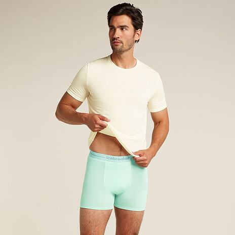 Boxeri pentru bărbați Merino 150 Anatomica Boxeri Icebreaker Mint
