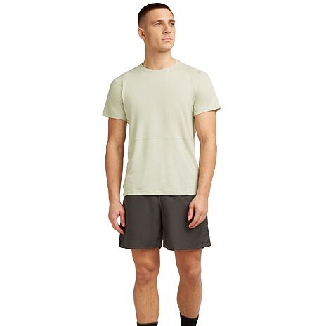 Pánské tričko Merino 200 Waffle Elevation SS Tee Icebreaker Aschen