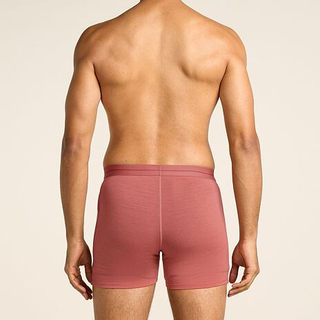 Pánské boxerky Merino 150 Anatomica Boxers Icebreaker Plume