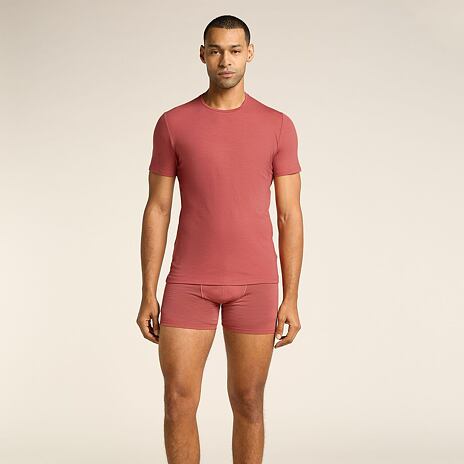 Pánské boxerky Merino 150 Anatomica Boxers Icebreaker Plume