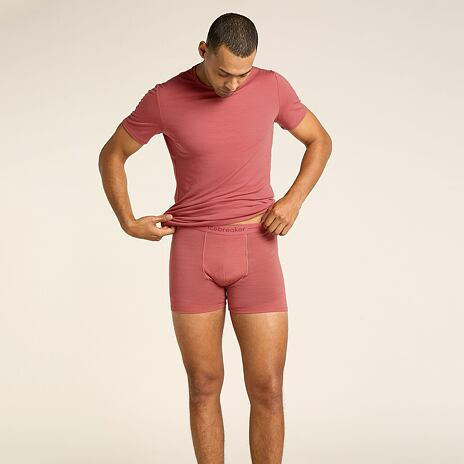 Pánské boxerky Merino 150 Anatomica Boxers Icebreaker Plume