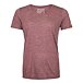 Women’s Ortovox 120 Cool Tec Clean T-shirt Mountain Rose Blend